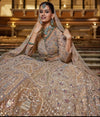 Jahagir Lehenga Choli