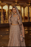 Cookie Lehenga Choli