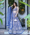 Designer Lehenga choli