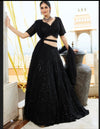 Black beauty Lehenga choli