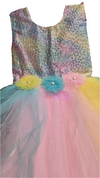 Rainbow gown dress