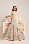 Multi Lehenga Choli