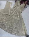 Lakhnavi work gown dress