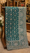 Designer jaalwork saree