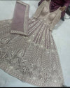Lakhnavi work gown dress
