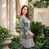 Embroidered Farshi suit