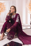 Embroidered chiffon Pakistani kameez